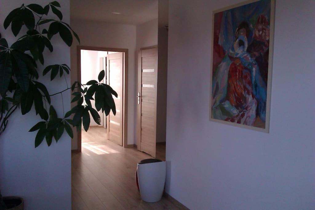 Peaceful Stay/Heart Of Gdansk/Unforgettable Zewnętrze zdjęcie